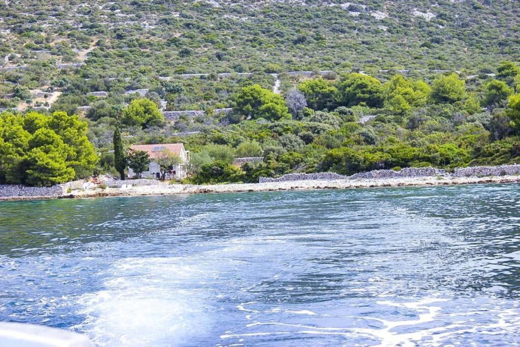 Kuca Za Odmor Obitelji Pedisic Villa Banj Buitenkant foto